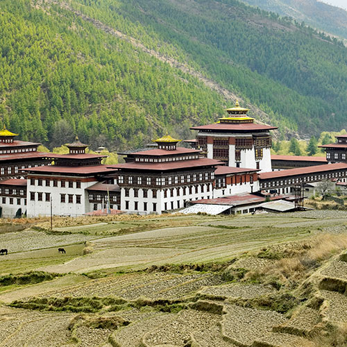 Essence of Bhutan Tour