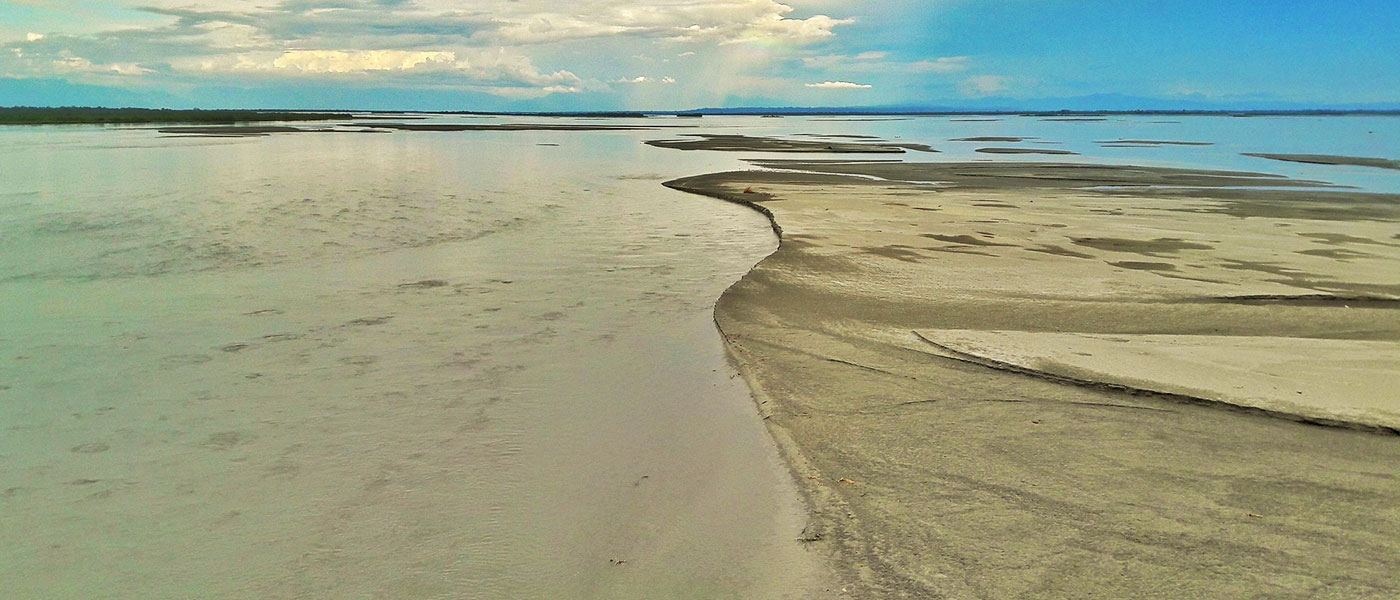 Explore Assam Experience