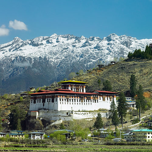Best of Bhutan Journey