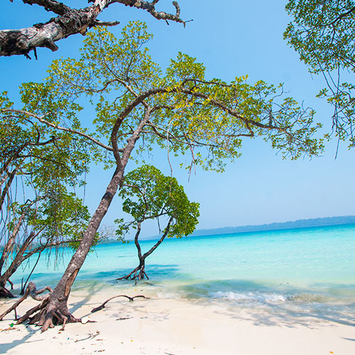 Andaman Island Wonders