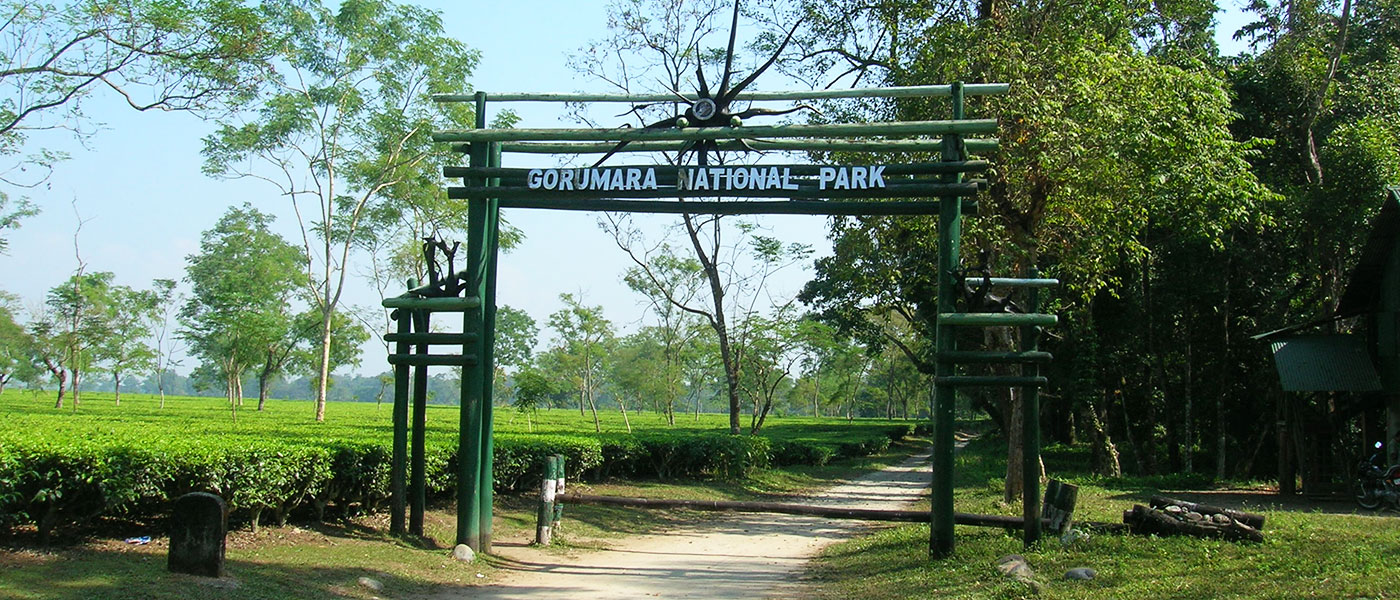 Dooars Wildlife Escape