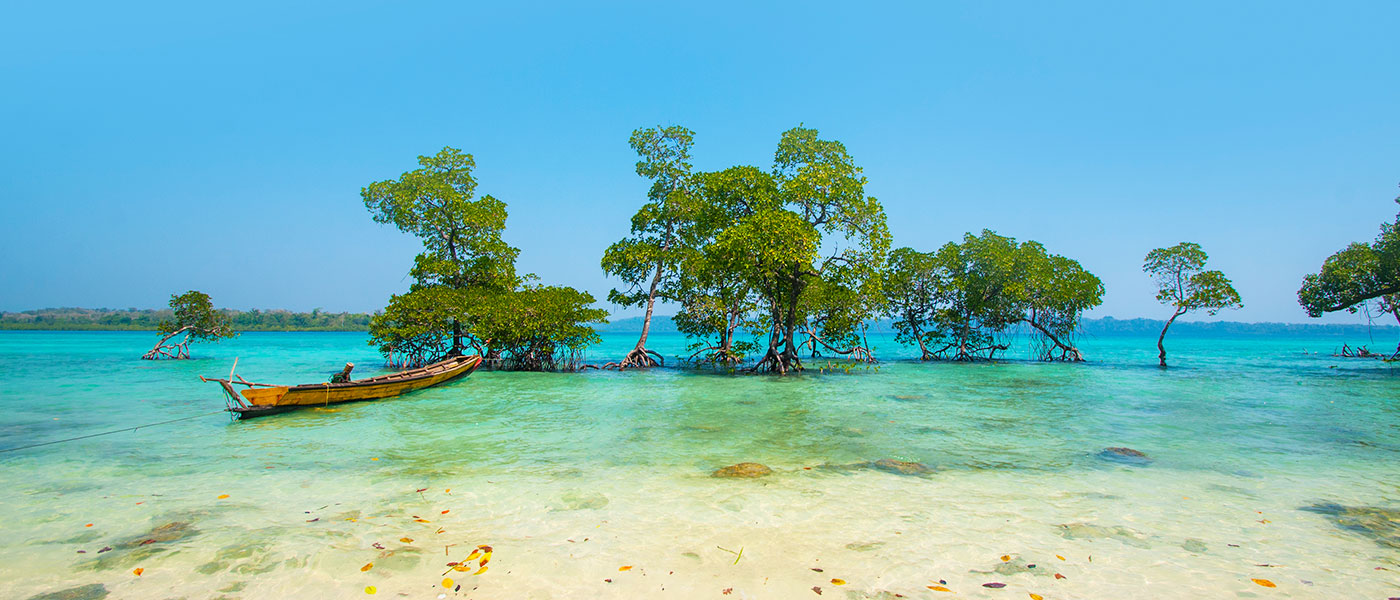 Andaman Island Paradise