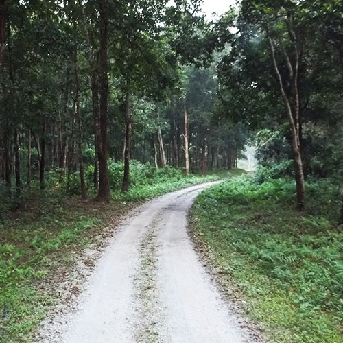 Dooars Explorer Tour