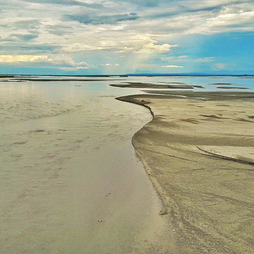 Explore Assam Experience