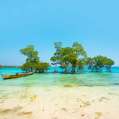 Andaman Island Paradise