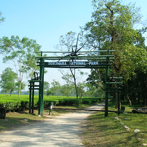 Dooars Wildlife Escape