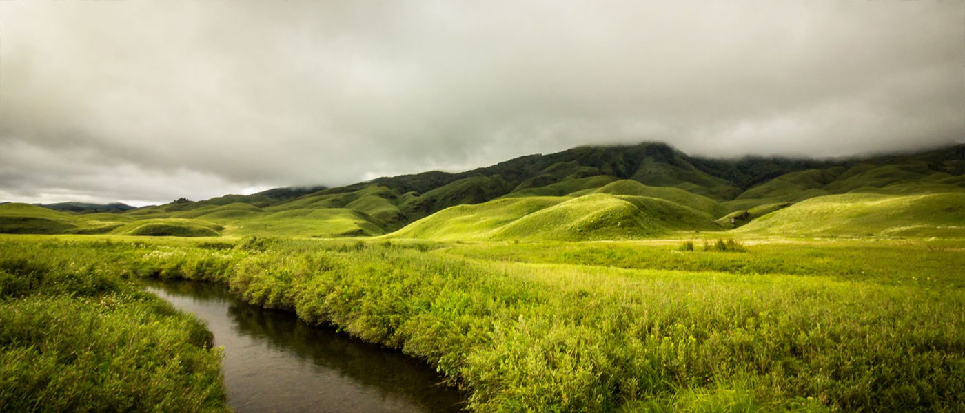 Hidden Northeast Triangle