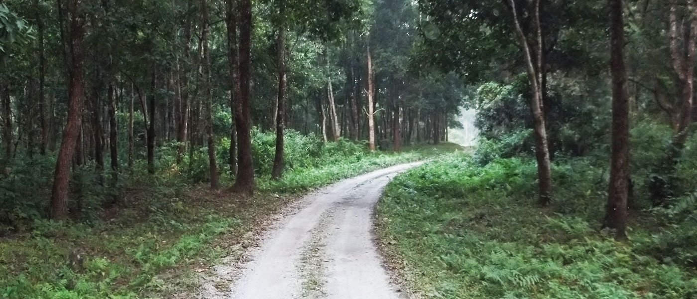 Dooars Explorer Tour